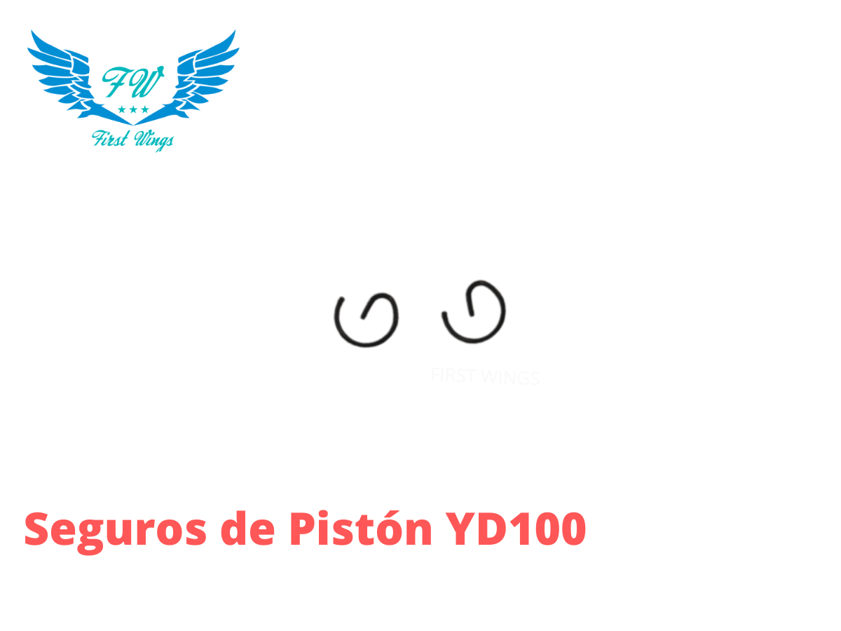 SEGUROS DE PISTON YD100 (2 PZAS)