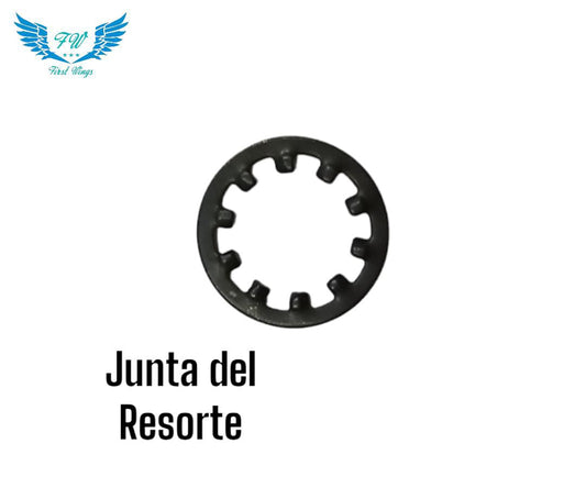 JUNTA DE RESORTE