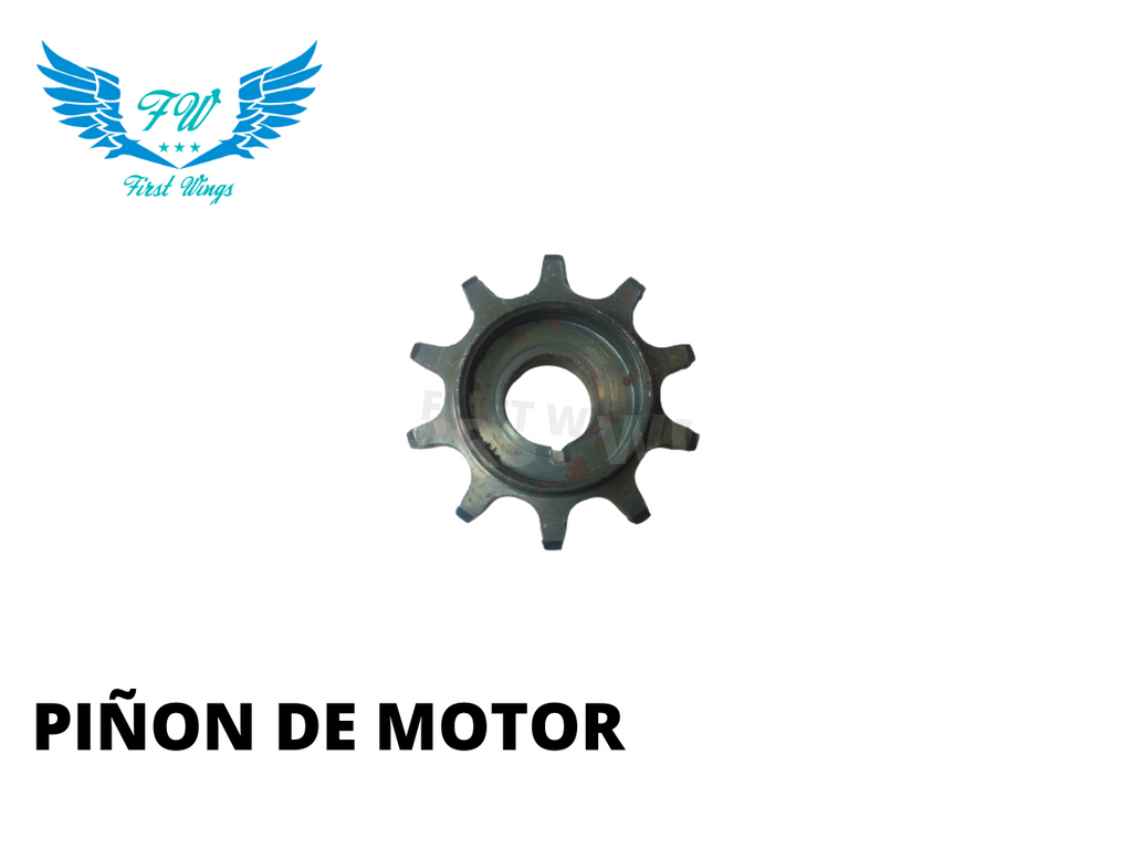 Motores para Bicicleta – Bicimotos First Wings